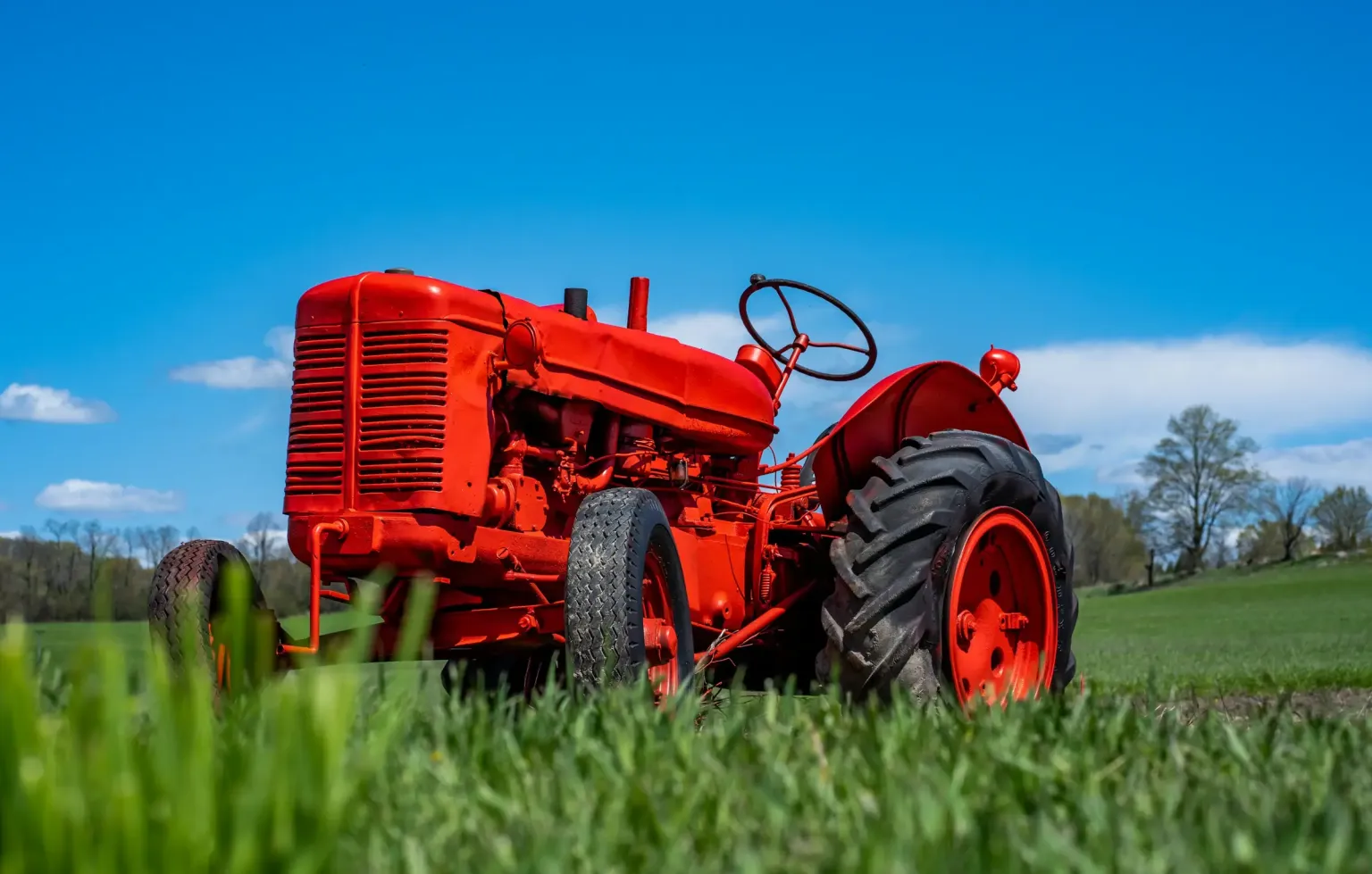 Roter Oldtimer-Traktor auf einer grünen Wiese unter blauem Himmel
